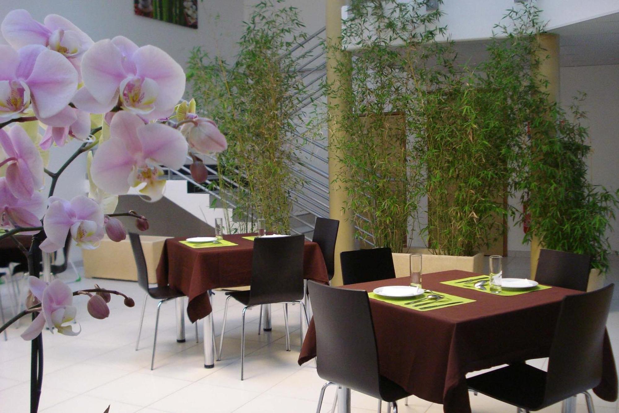 Hotel La Palmeraie Cornebarrieu Zewnętrze zdjęcie